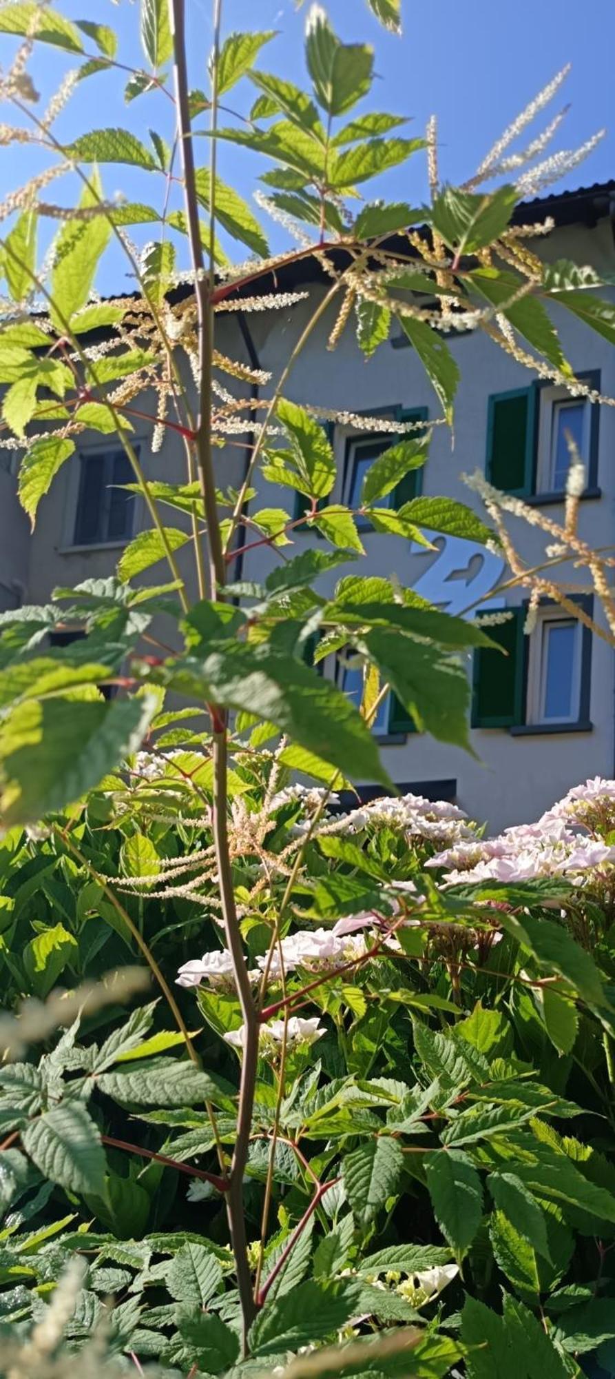 B&B22 Santa Brigida Buitenkant foto